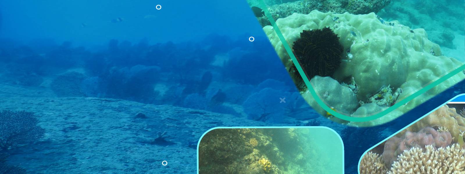 About AMSOB Banner Image