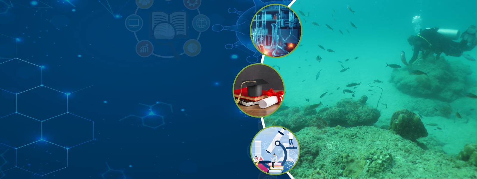 Post Doctral Fellowship Program Banner Image