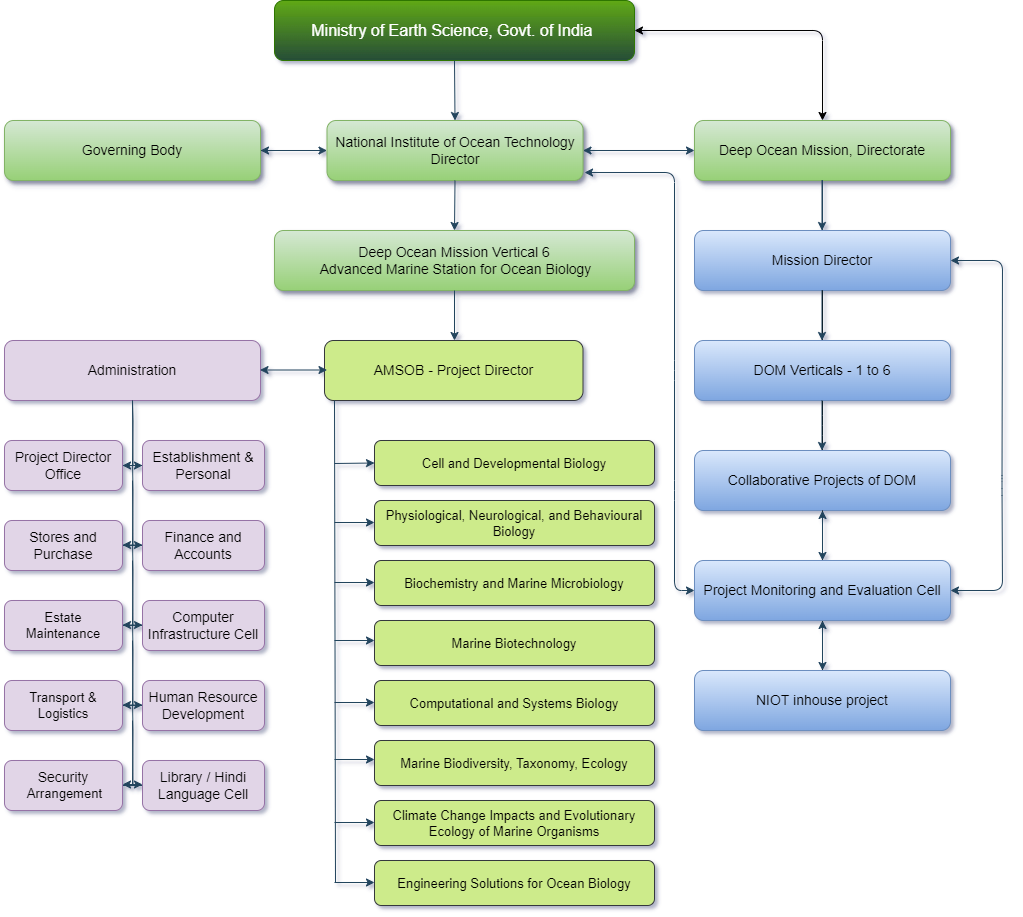 Organisational Chart Image